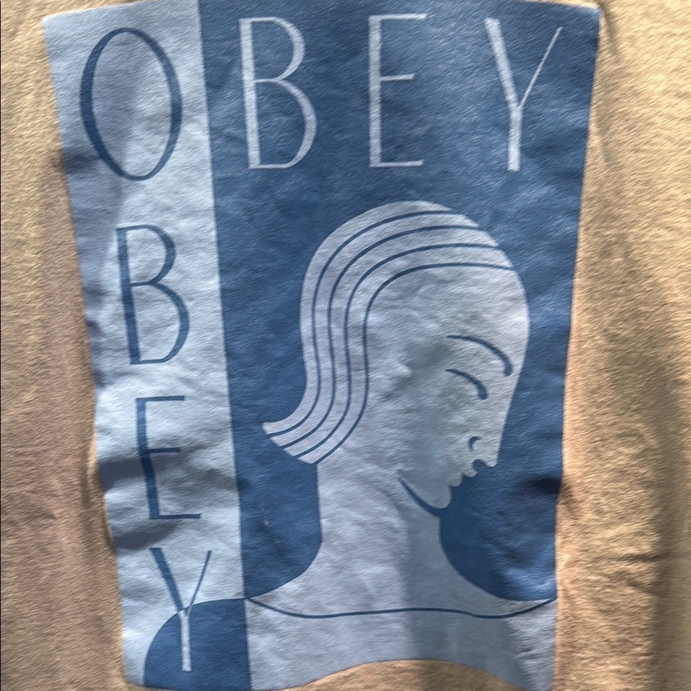 Obey Gray and Blue Short Sleeve Tee - Picture 3 of 4